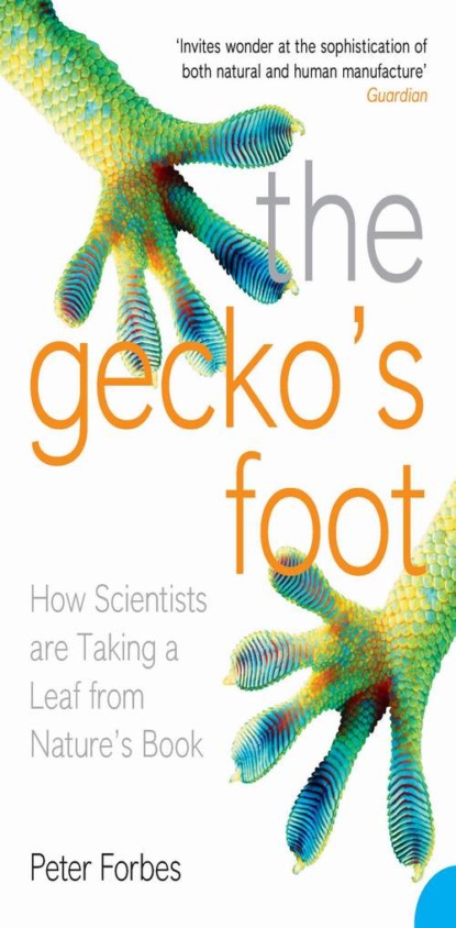 The Geckos Foot: How Scientists are Taking a Leaf from Nature s Book