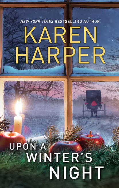 Karen  Harper - Upon A Winter's Night