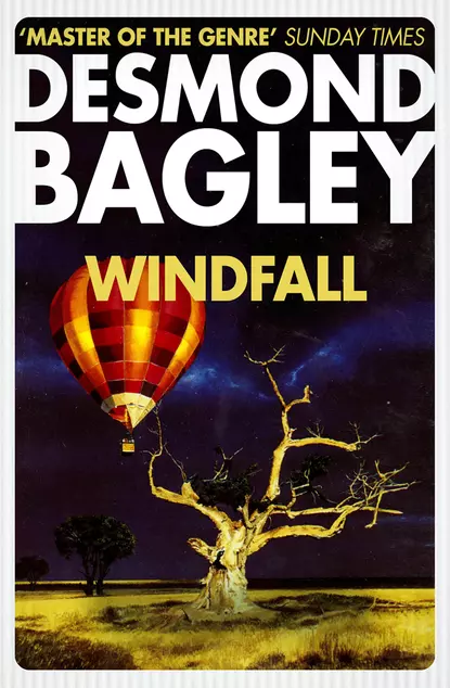 Обложка книги Windfall, Desmond Bagley