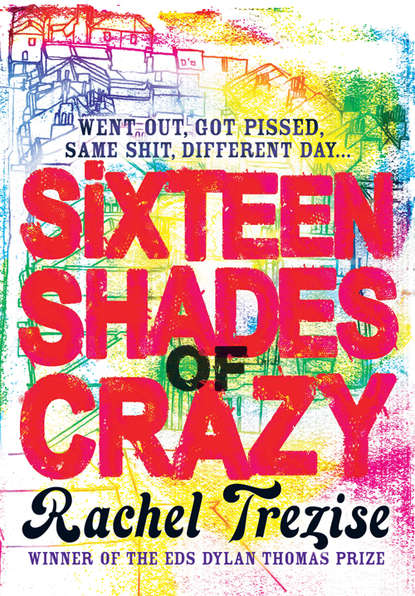 Rachel  Trezise - Sixteen Shades of Crazy