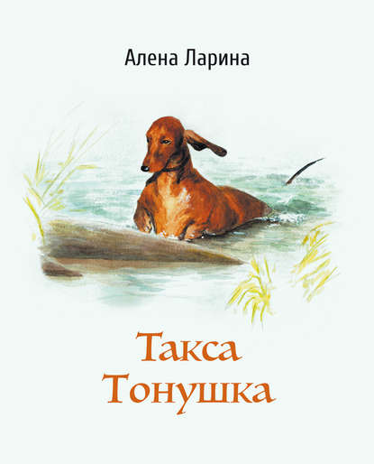 Такса Тонушка (Алёна Ларина). 2019г. 