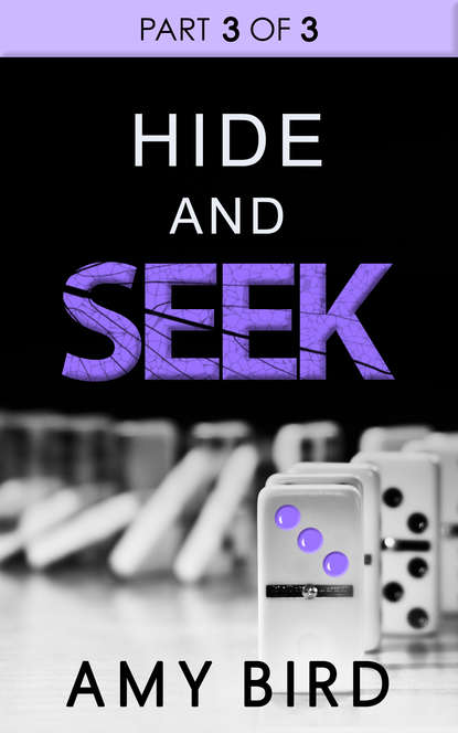 Hide And Seek (Amy  Bird). 