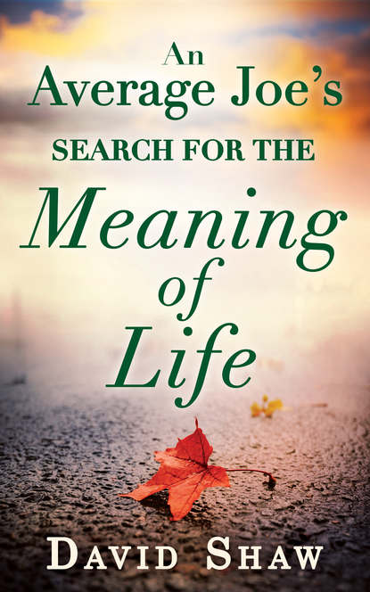 An Average Joe's Search For The Meaning Of Life