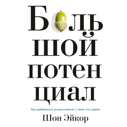 Шон Эйкор - Большой потенциал. Как добиваться успеха вместе с теми, кто рядом