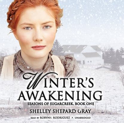 Shelley Shepard Gray — Winter's Awakening