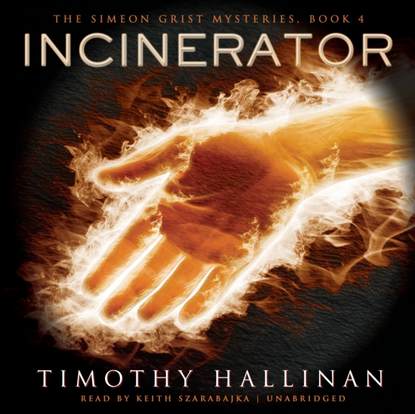 Timothy Hallinan — Incinerator