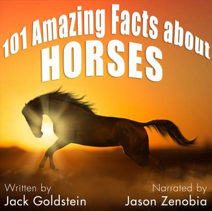 Ксюша Ангел - 101 Amazing Facts about Horses