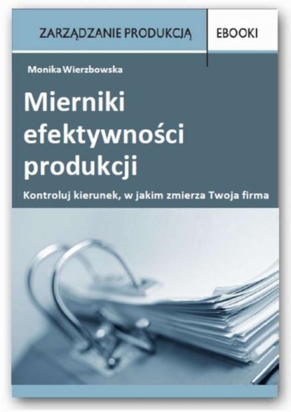 

Mierniki efektywności produkcji