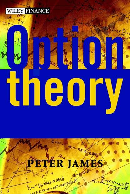 Option Theory - Группа авторов