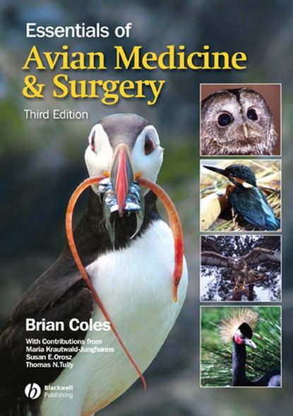 Susan Orosz E. - Essentials of Avian Medicine and Surgery