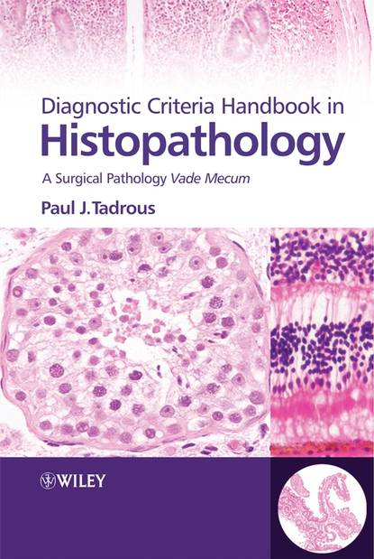 Группа авторов - Diagnostic Criteria Handbook in Histopathology