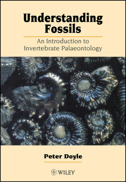Understanding Fossils (Группа авторов). 