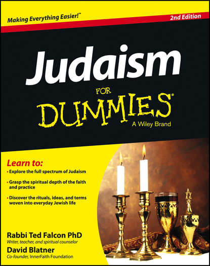 David  Blatner - Judaism For Dummies