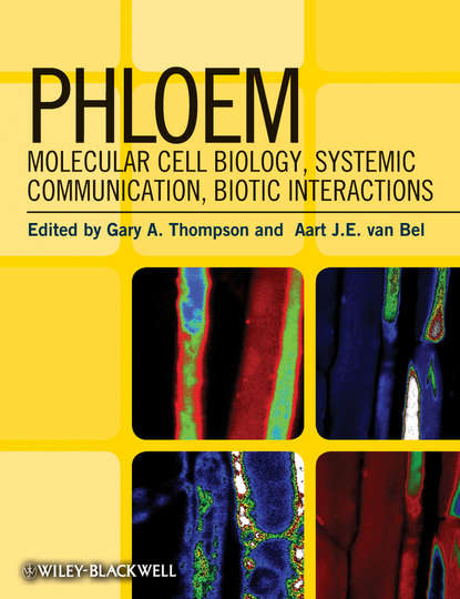 Phloem (Aart Bel J.E.van). 