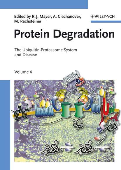 Protein Degradation - Martin  Rechsteiner