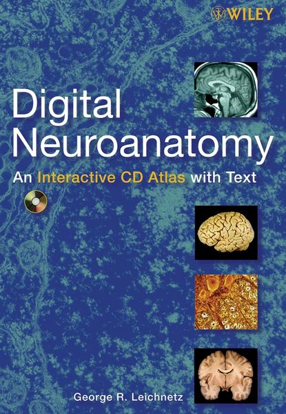 George Leichnetz R. - Digital Neuroanatomy