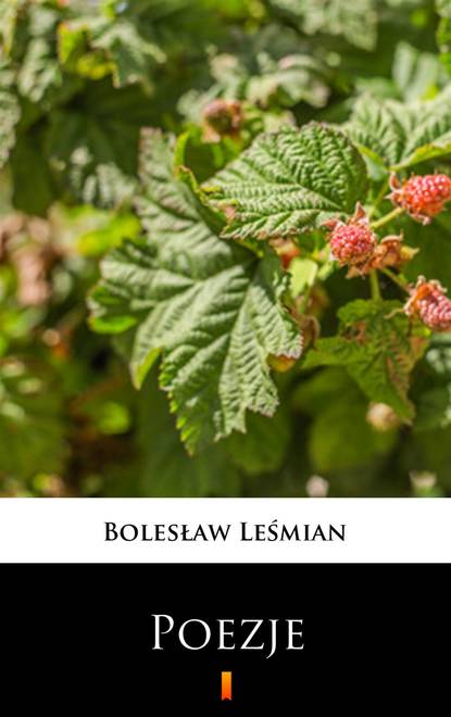 Bolesław Leśmian — Poezje