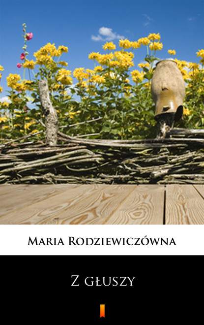 Maria Rodziewiczówna - Z głuszy