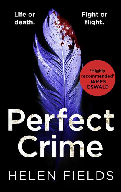 Helen  Fields - Perfect Crime