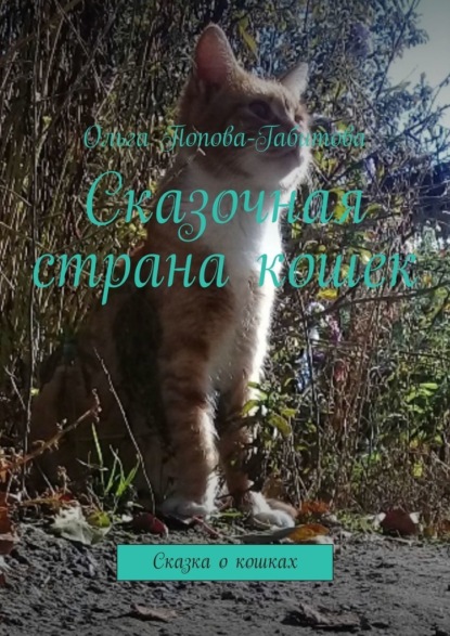 Сказочная страна кошек. Сказка о кошках