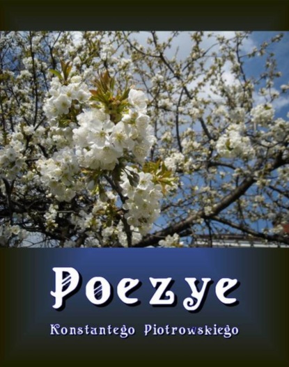 Konstanty Piotrowski — Poezye