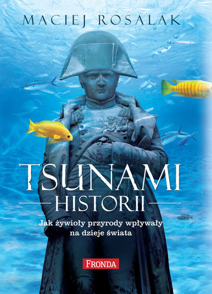 

Tsunami historii