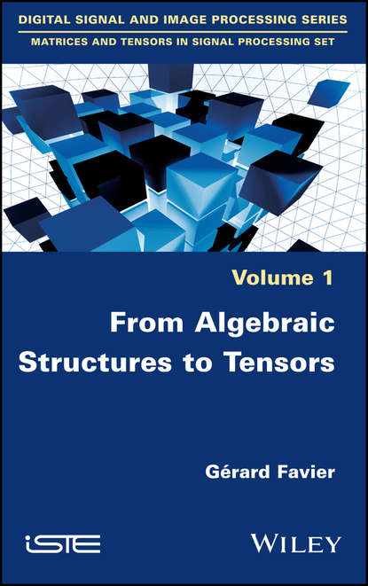 Группа авторов - From Algebraic Structures to Tensors