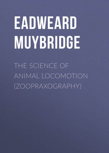 Eadweard Muybridge - The Science of Animal Locomotion (Zoopraxography)