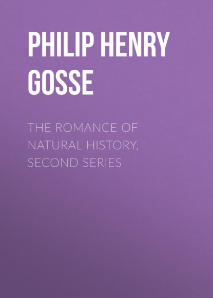 Philip Henry Gosse - The Romance of Natural History, Second Series