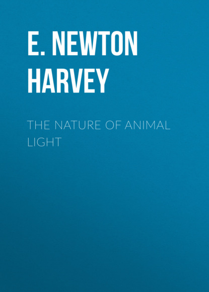 

The Nature of Animal Light