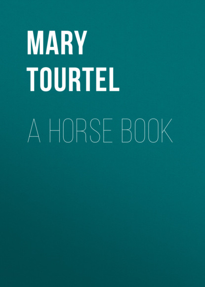 

A Horse Book