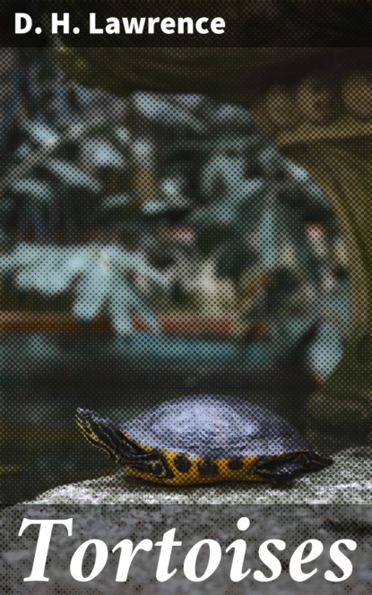 D. H. Lawrence - Tortoises