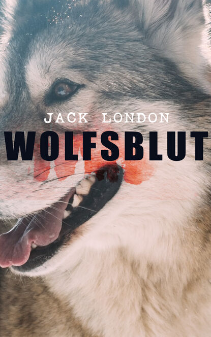 Джек Лондон — Wolfsblut
