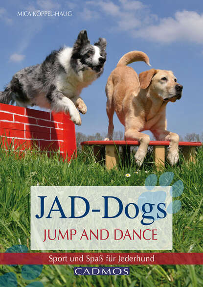 Mica Köppel-Haug - JAD-Dogs - Jump and Dance