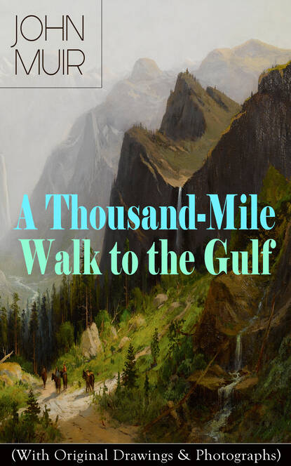 John Muir - A Thousand-Mile Walk to the Gulf (With Original Drawings & Photographs)