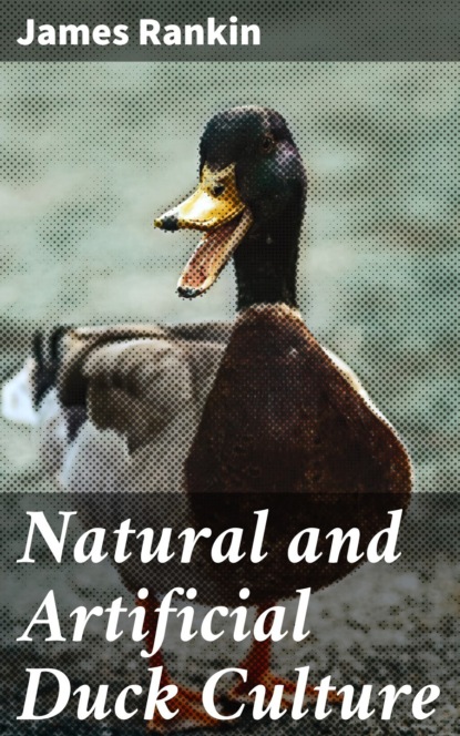 

Natural and Artificial Duck Culture