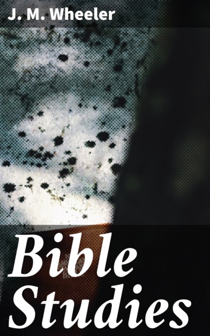 

Bible Studies