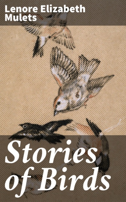 

Stories of Birds