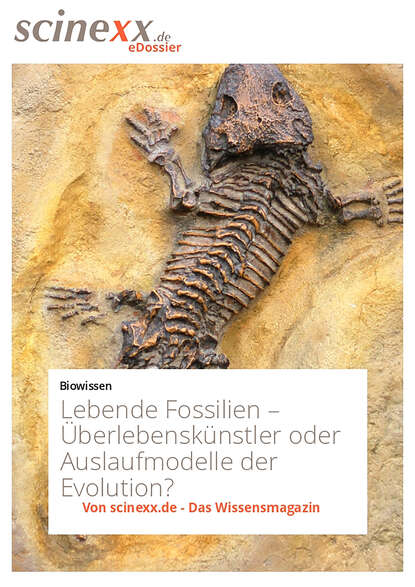 Dieter  Lohmann - Lebende Fossilien