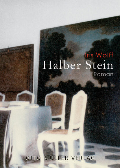 Halber Stein (Iris  Wolff). 