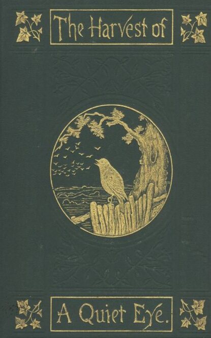 

The Harvest of a Quiet Eye
