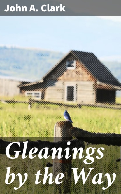 John A. Clark - Gleanings by the Way
