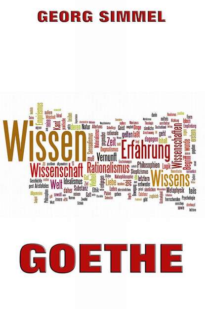 Simmel Georg - Goethe
