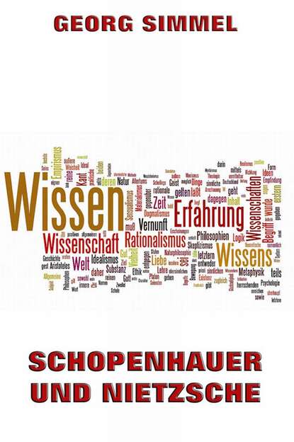 Simmel Georg - Schopenhauer und Nietzsche