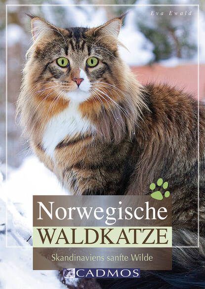 Eva Ewald - Norwegische Waldkatze