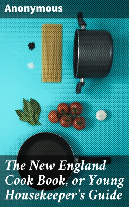 Anonymous - The New England Cook Book, or Young Housekeeper's Guide