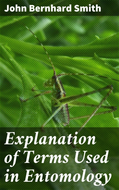 

Explanation of Terms Used in Entomology