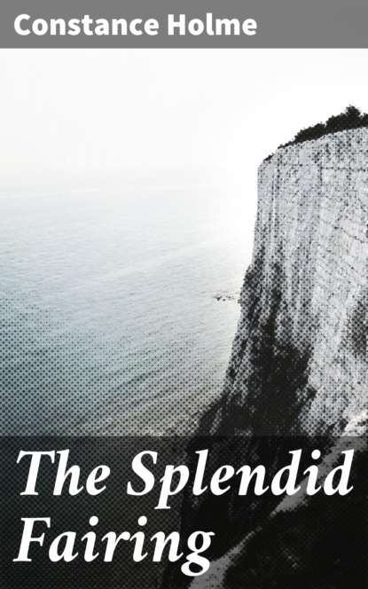 

The Splendid Fairing