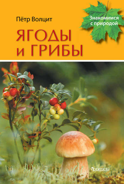 П. М. Волцит - Ягоды и грибы