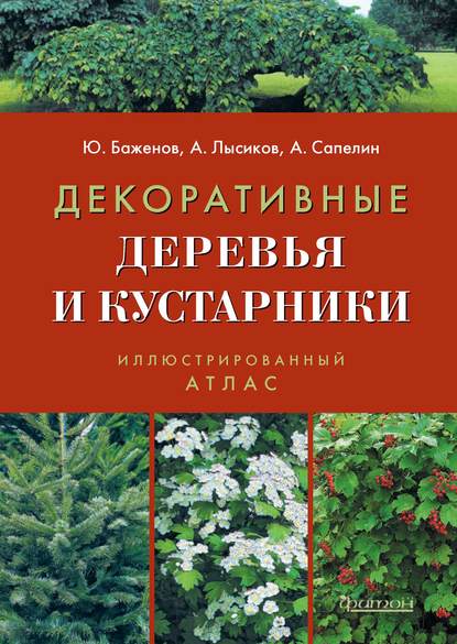 Александр Сапелин - Декоративные деревья и кустарники
